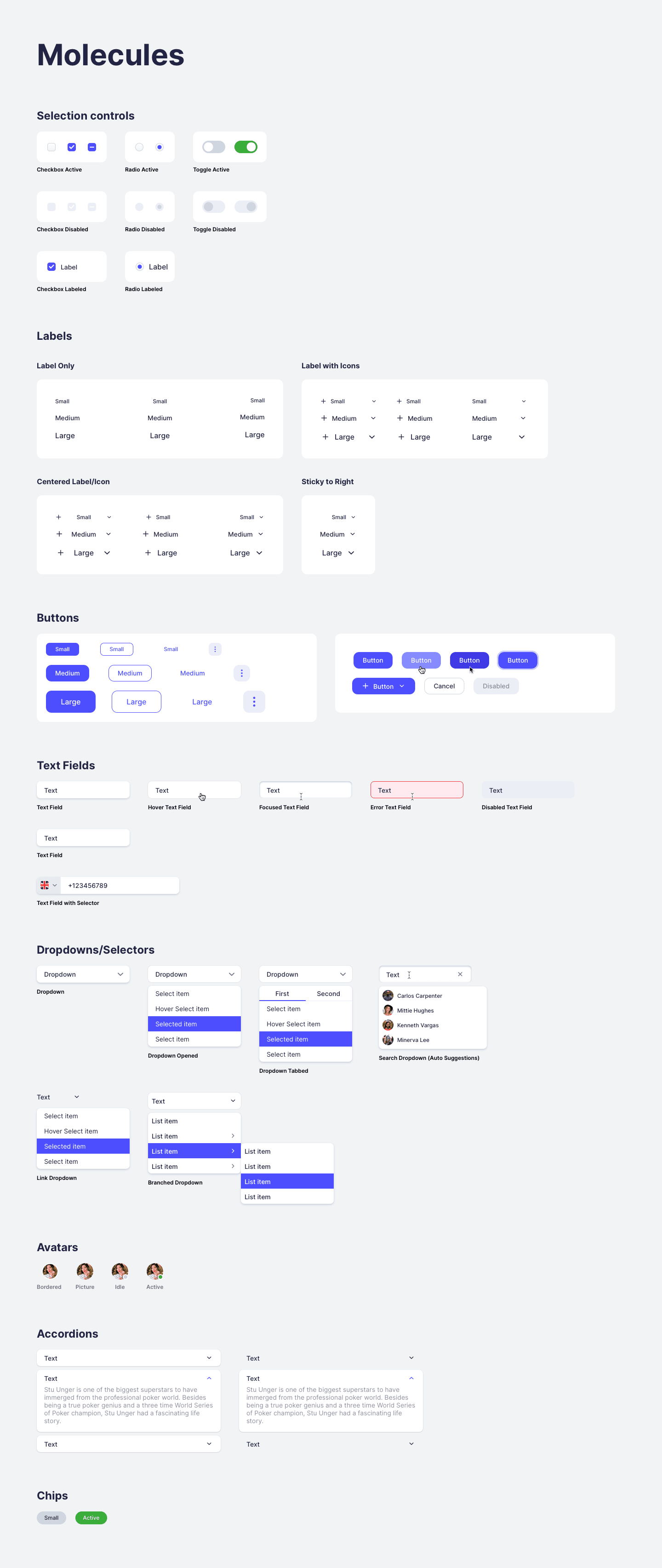 Design system